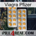 Viagra Pfizer levitra2